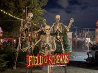 Things to do near The Bridgeview~Field of Screams