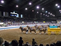 Pennsylvania National Horse Show