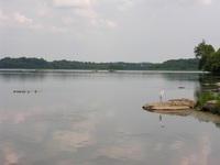 Bird Watching around The Bridgeview B&B