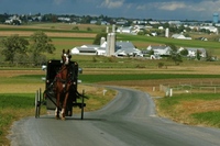 Amish Country Tours