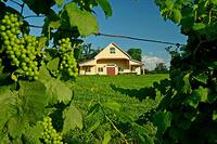 National Wine Day February 18th!!