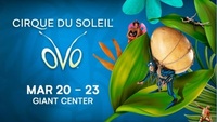 CIRQUE DU SOLEIL ~ OVO ~ Giant Center