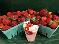 Annual Strawberry Festival ~ Biglerville, PA