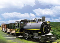 Pioneer Tunnel Coal Mine and Scenic Train Tours