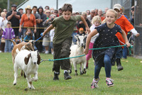 They Are Back!! Falmouth Goat Races
