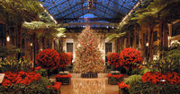 Christmas at Longwood Gardens
