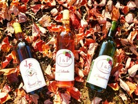 J & P Winery