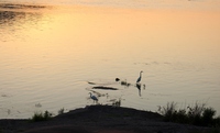 Bird Watching around The Bridgeview B&B